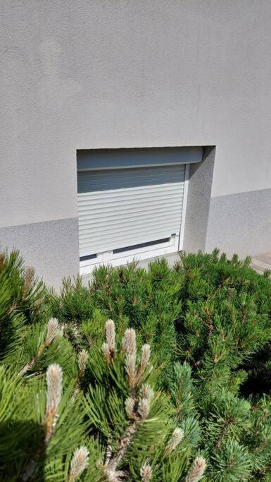 City Lodge Pine, Free Parking Ljubljana Exterior foto
